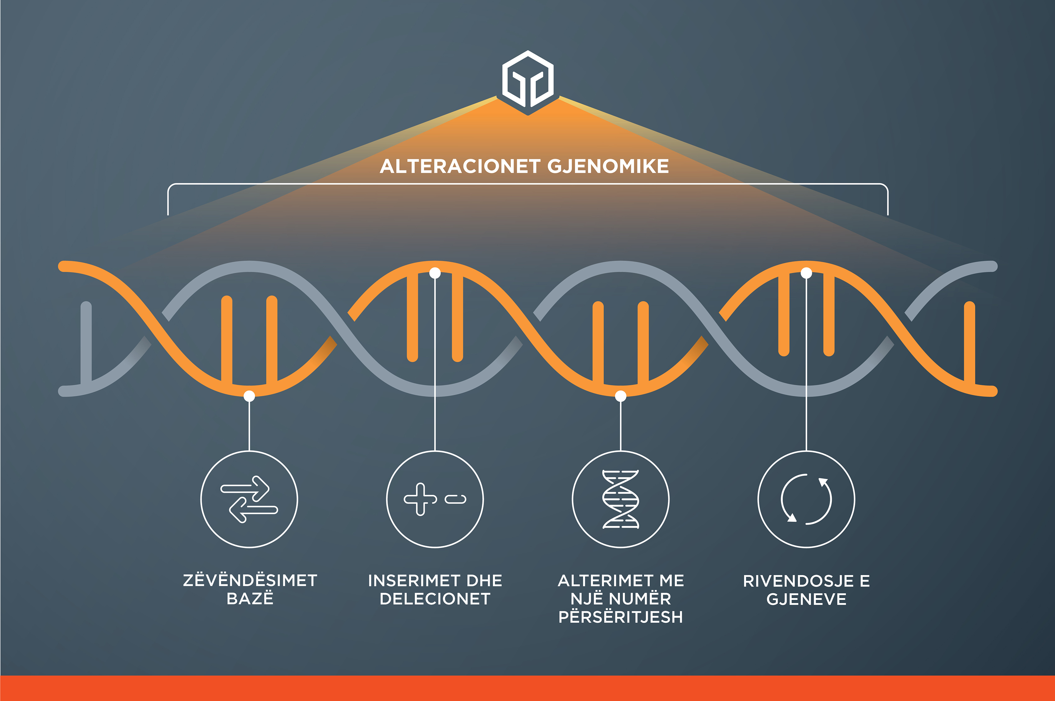 All our services use our leading comprehensive genomic profiling approach to identify clinically relevant alterations and potentially expand treatment options