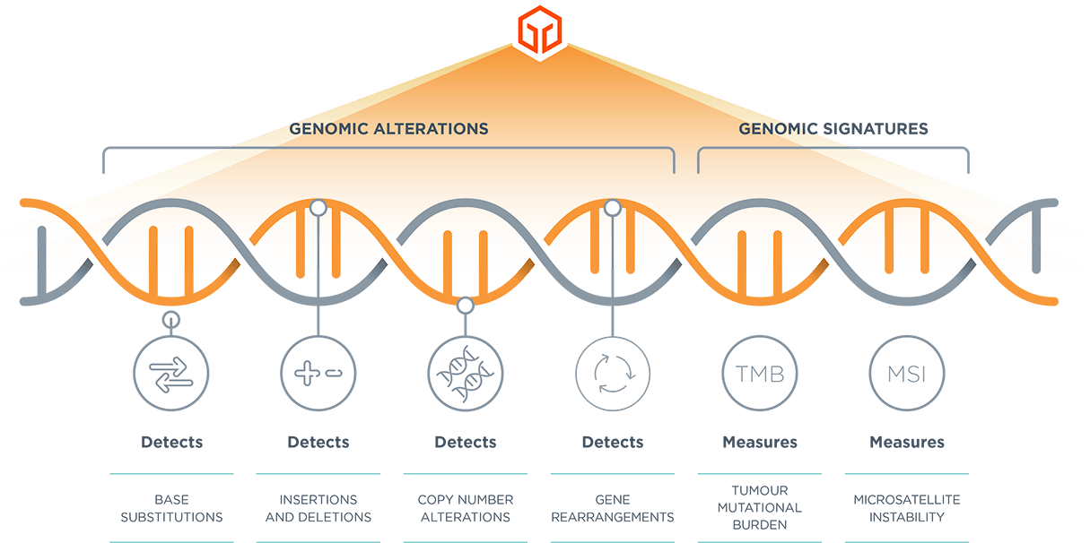 Multigene hotspot tests risk missing genomic alterations while comprehensive genomic profiling broadly analyses the genome to identify all relevant alterations 